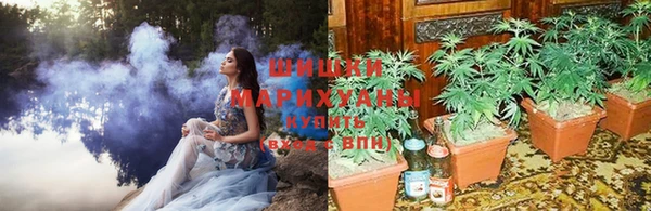 Альфа ПВП Осинники