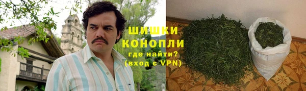 прущий лед Богданович