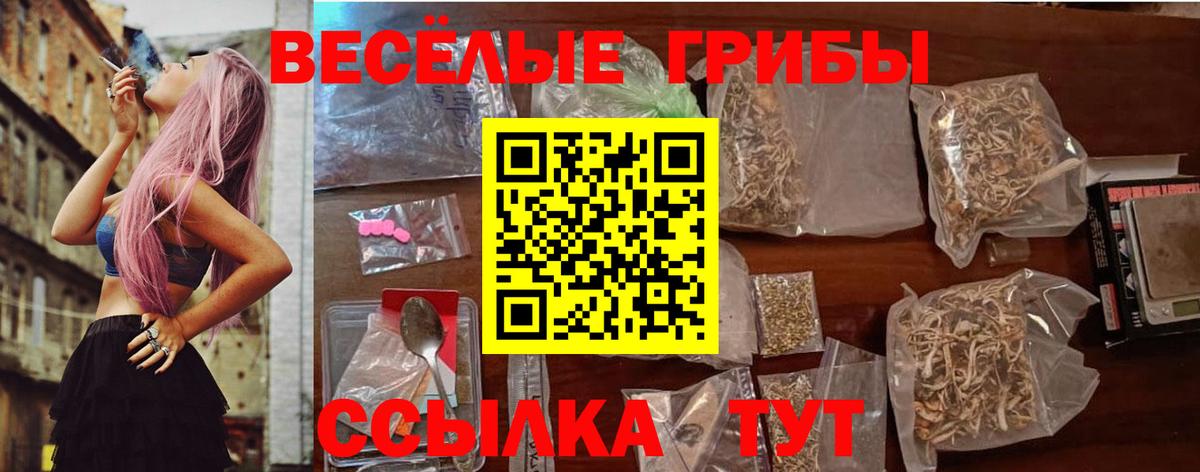 Псилоцибиновые грибы прущие грибы Волгоград