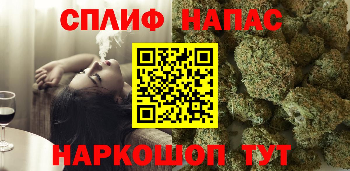 Каннабис планчик Волгоград